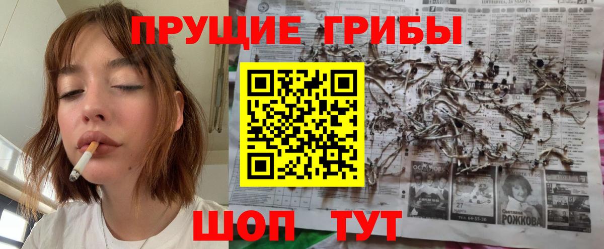 Галлюциногенные грибы ЛСД Шатура